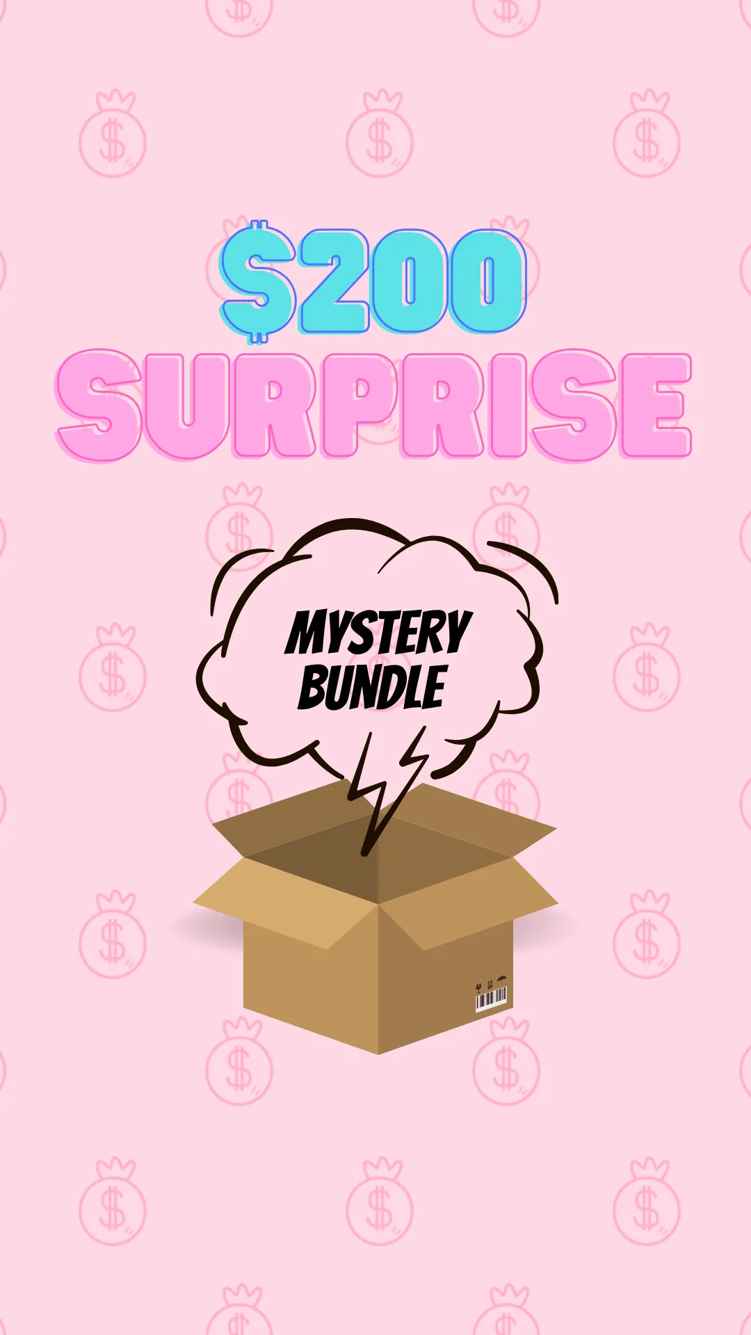 $200 Surprise Mystery Box