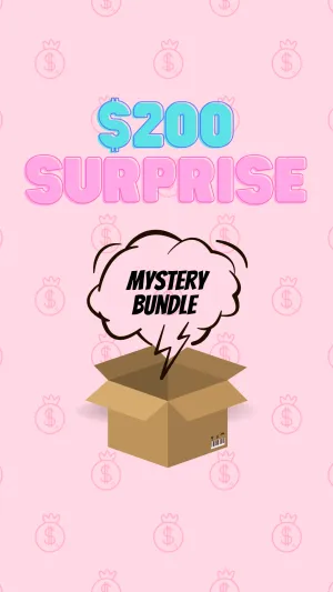 $200 Surprise Mystery Box