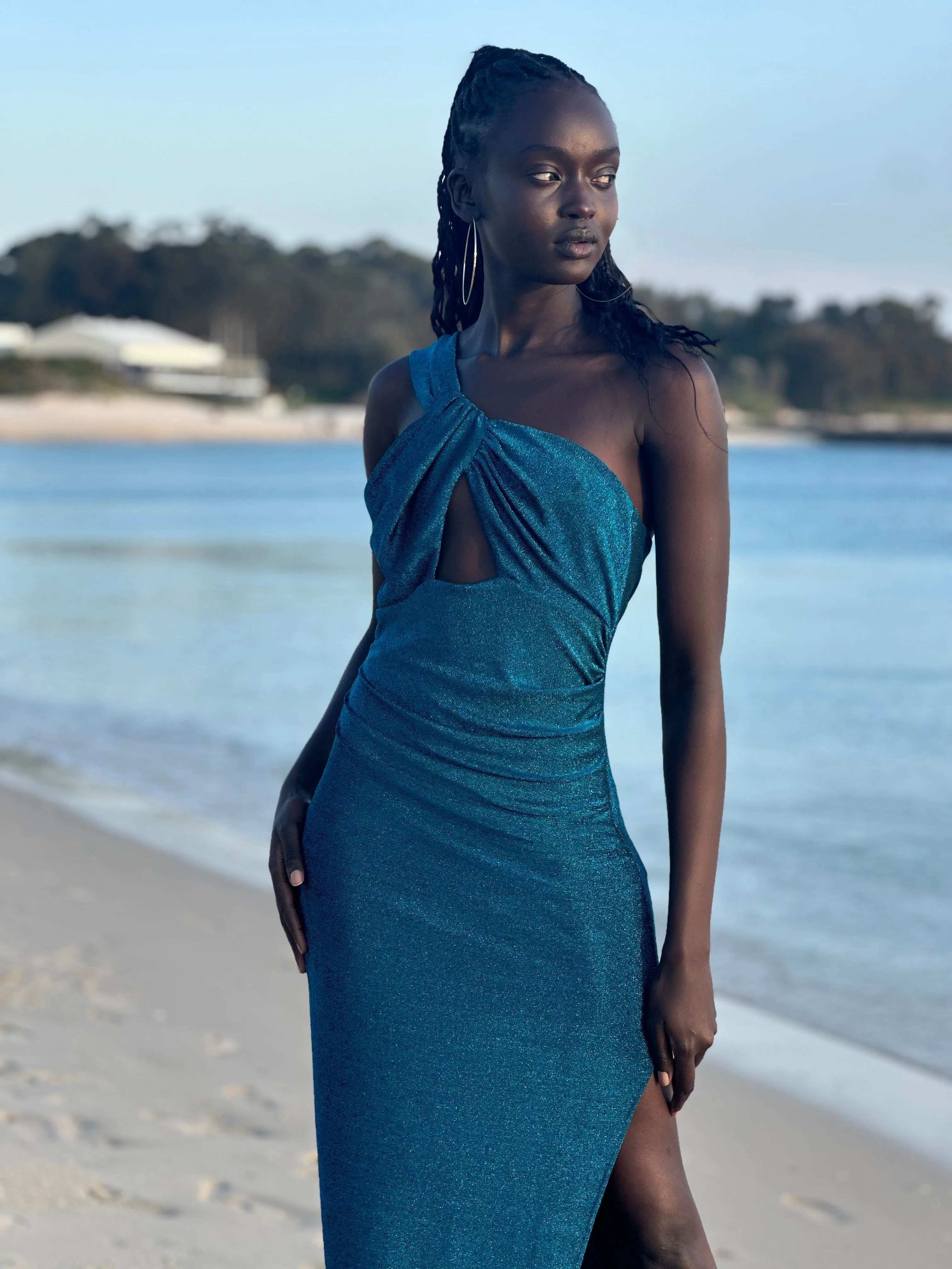 ACQUAVENA DRESS