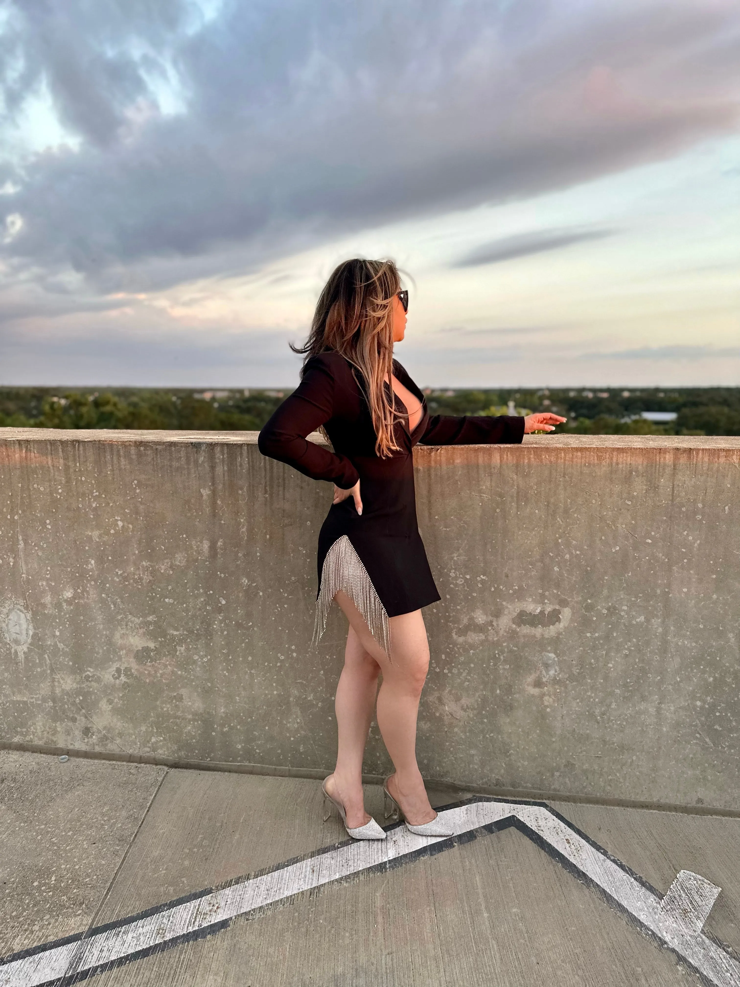 Arla Long Sleeve Rhinestone Blazer Dress