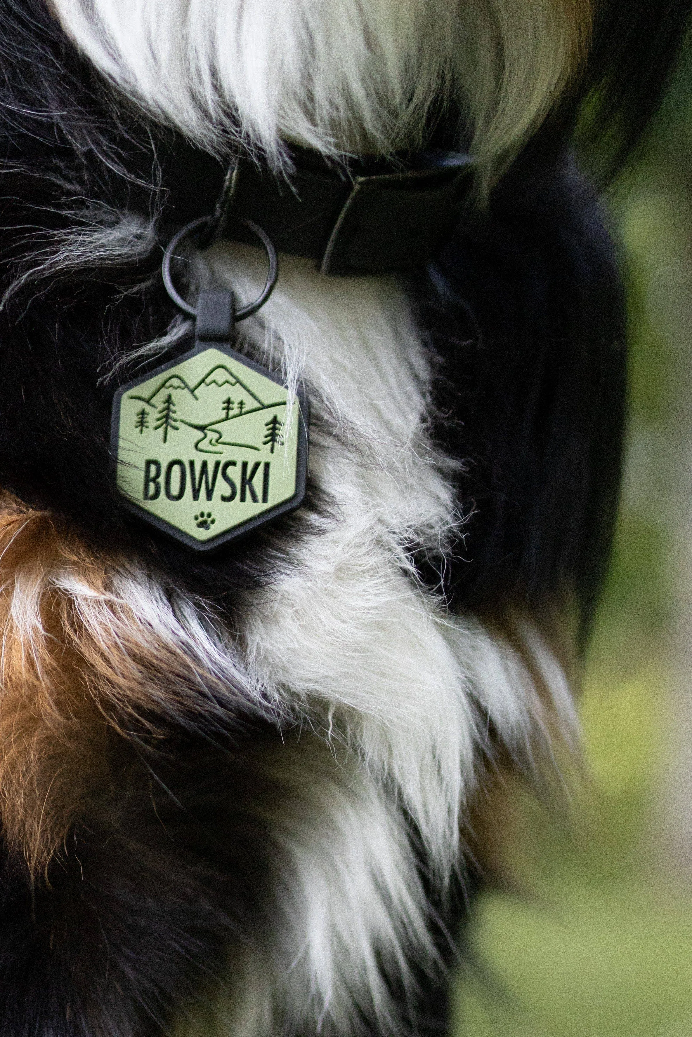 Besties Pets - Mountain Adventure Silicone Dog ID Tag: Sky Blue