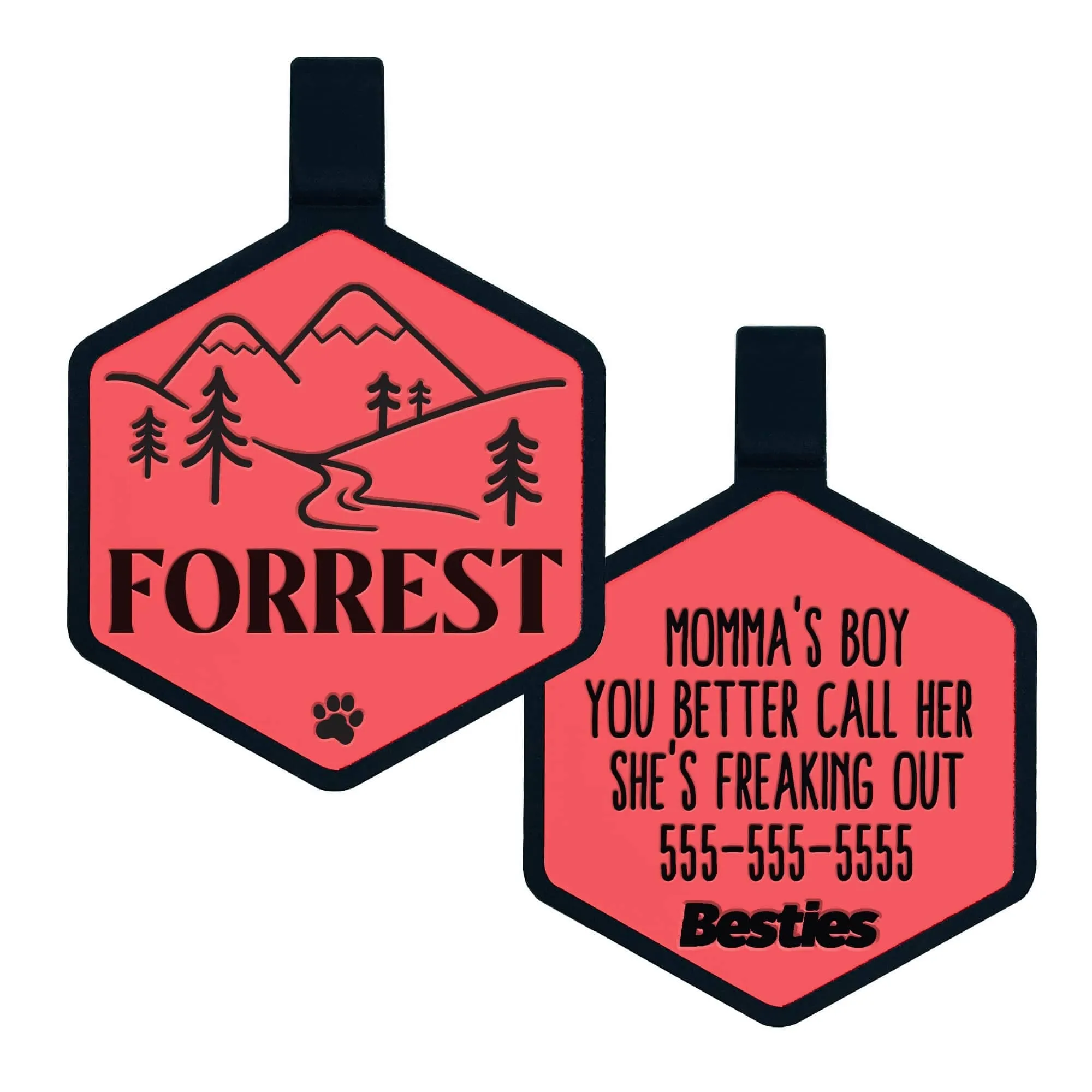 Besties Pets - Mountain Adventure Silicone Dog ID Tag: Sky Blue