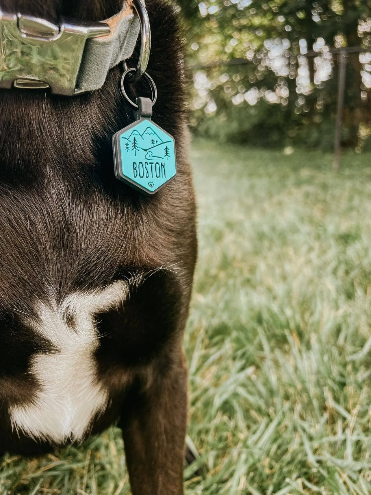 Besties Pets - Mountain Adventure Silicone Dog ID Tag: Sky Blue