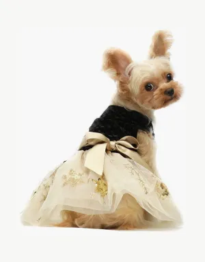 Embroidery Sequins Dresses