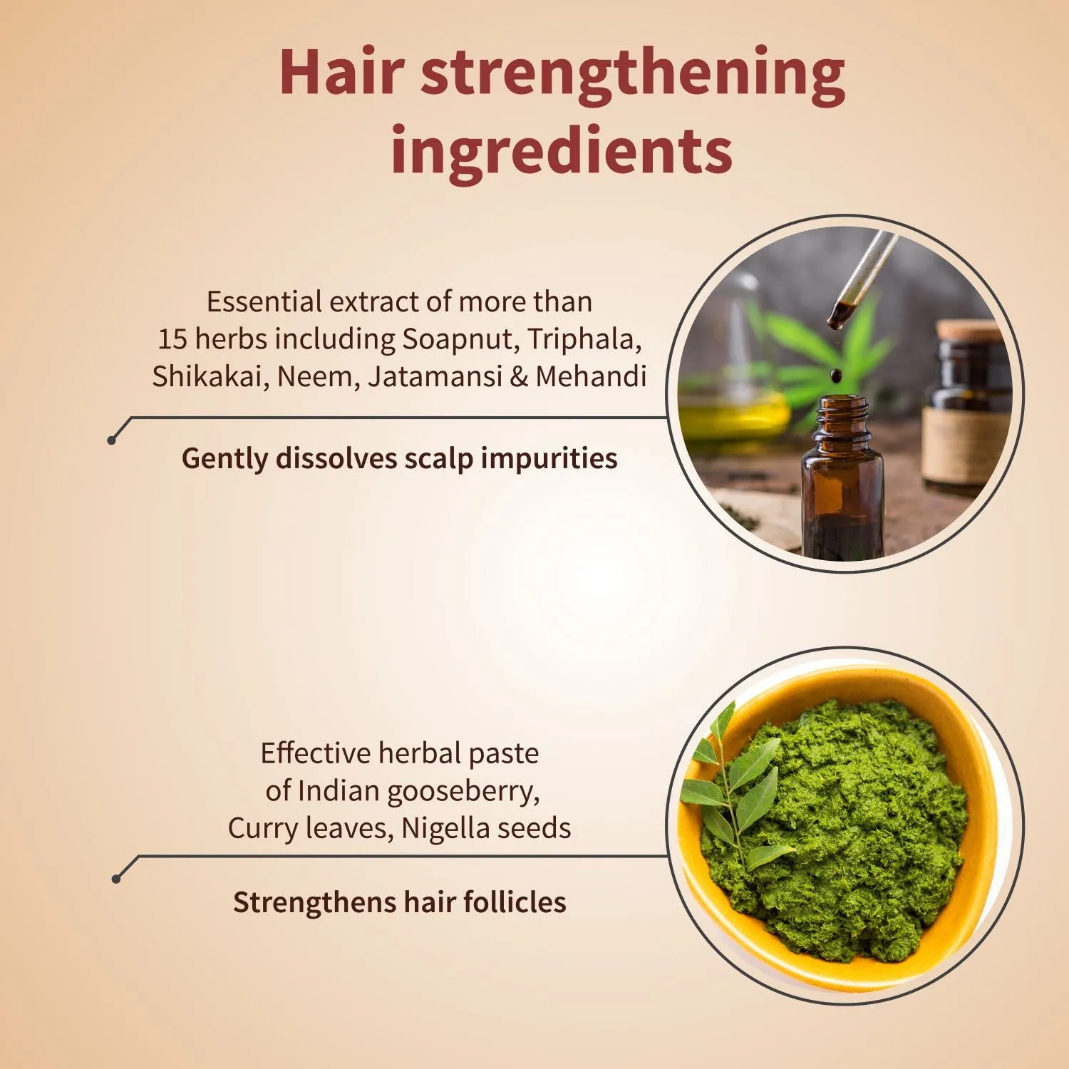 Hair Fall Control Combo | Protein Hair Oil 100ml & Anti hair fall Shampoo 200ml