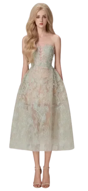 Khloe Fine Lace Sheer Sequin Ball Dress