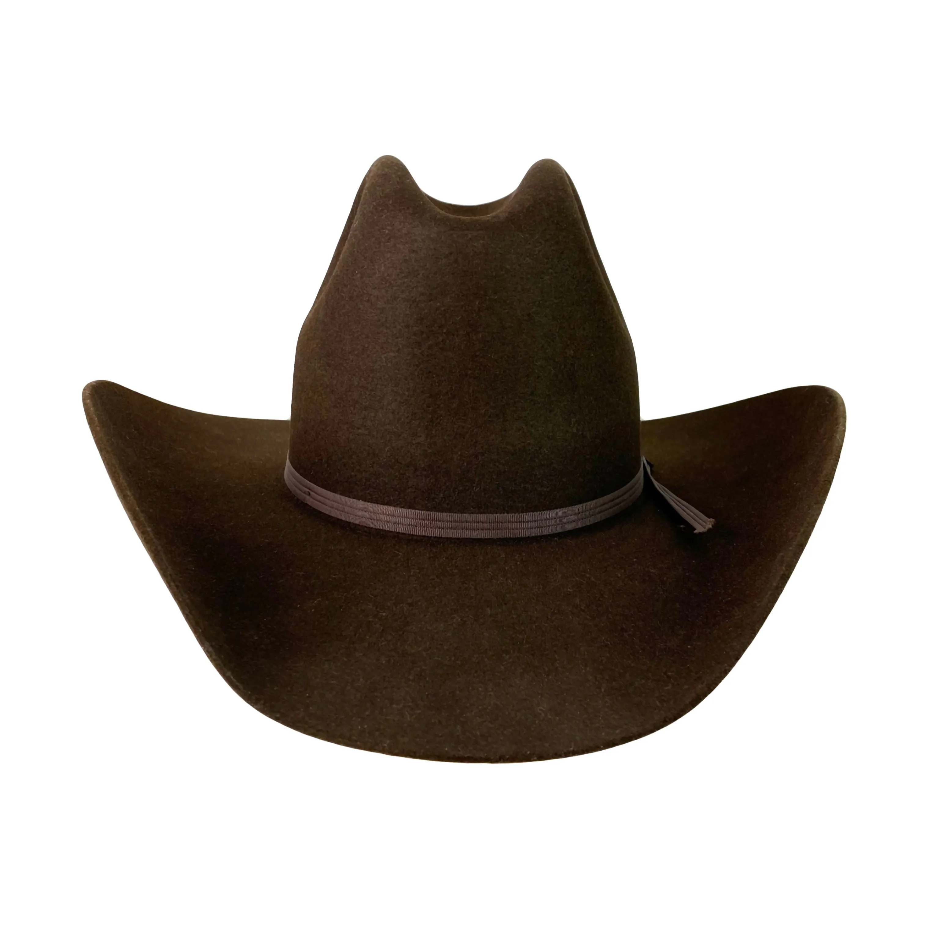 quarter horse mountain man