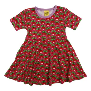Radish - Raspberry Rose Short Sleeve Skater Dress
