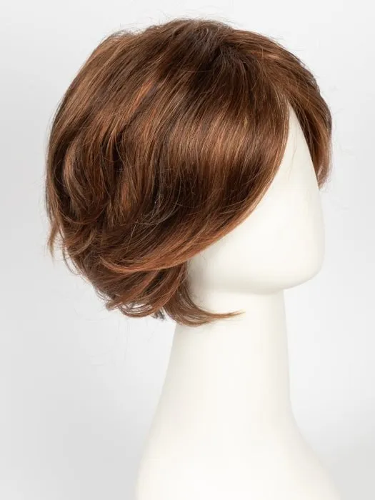 Sheer Elegance | Synthetic Lace Front Wig (Basic Cap)