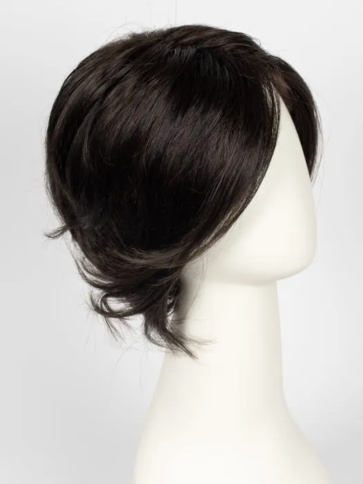 Sheer Elegance | Synthetic Lace Front Wig (Basic Cap)