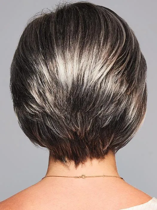 Sheer Elegance | Synthetic Lace Front Wig (Basic Cap)